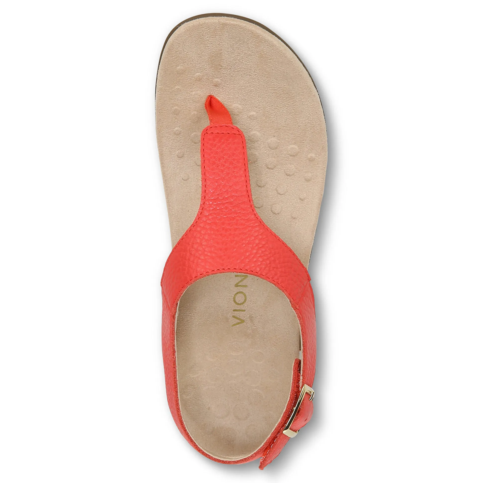 Terra Sandal