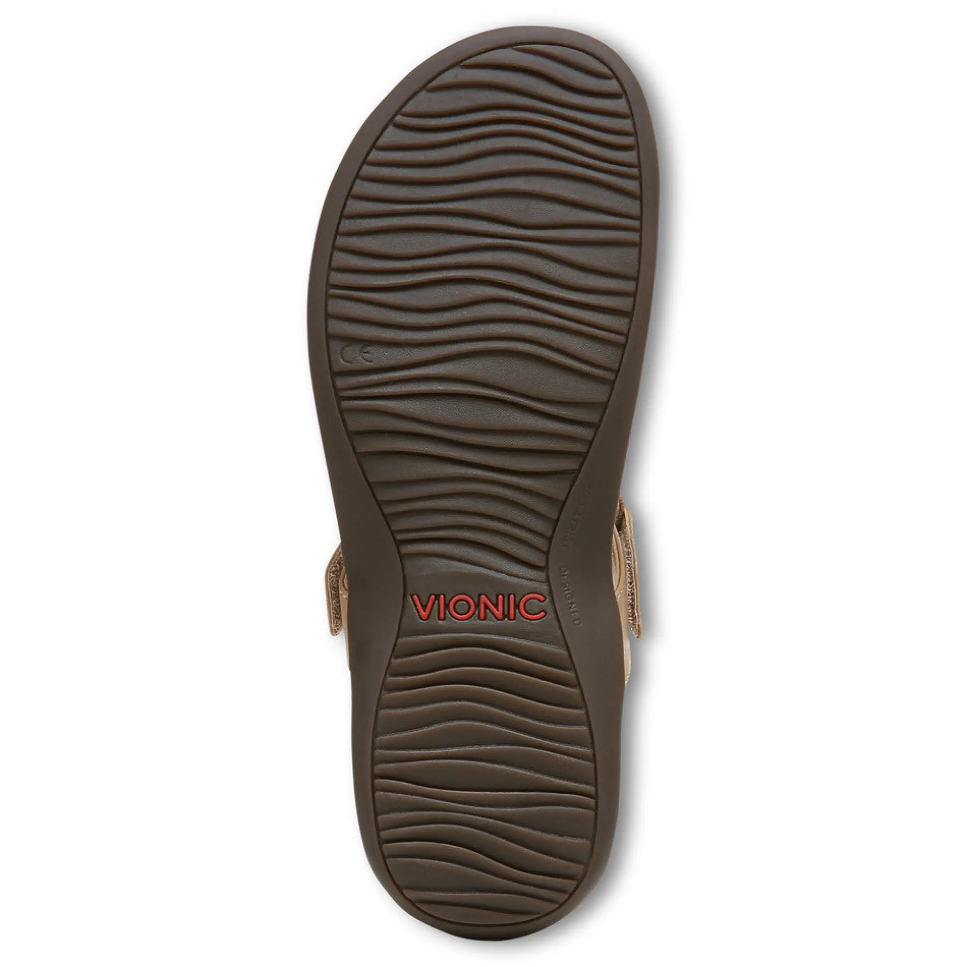 Wanda T-Strap Sandal
